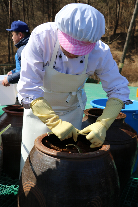 토토사이트 모음