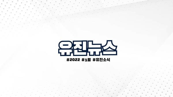 토토 사이트 바카라
