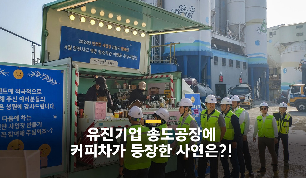와이즈 토토