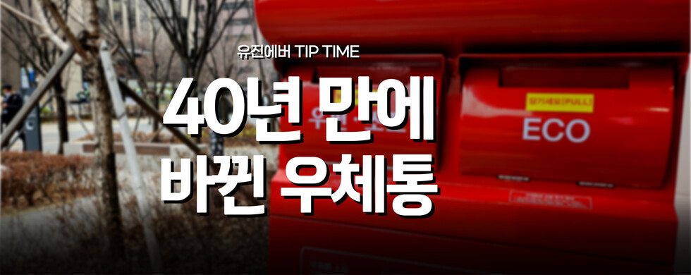 무료 토토사이트