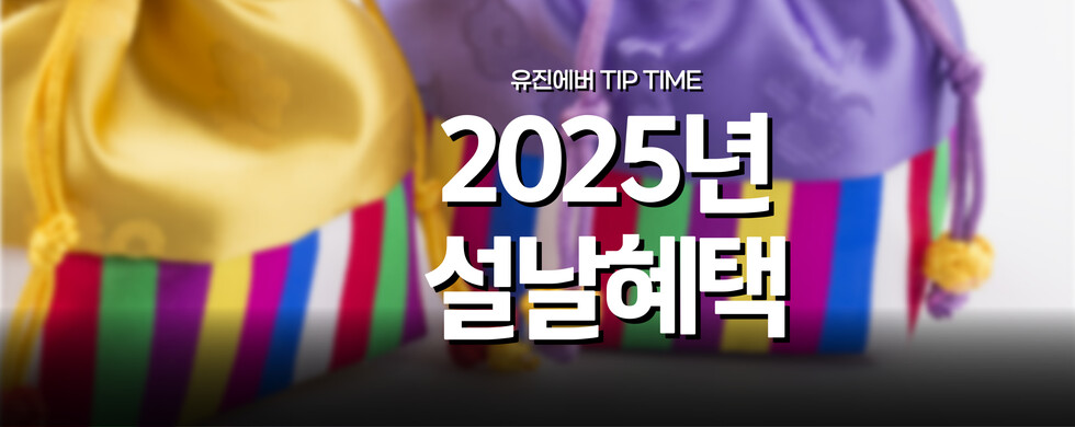무료 토토사이트