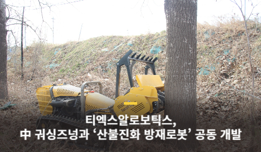 와이즈 토토