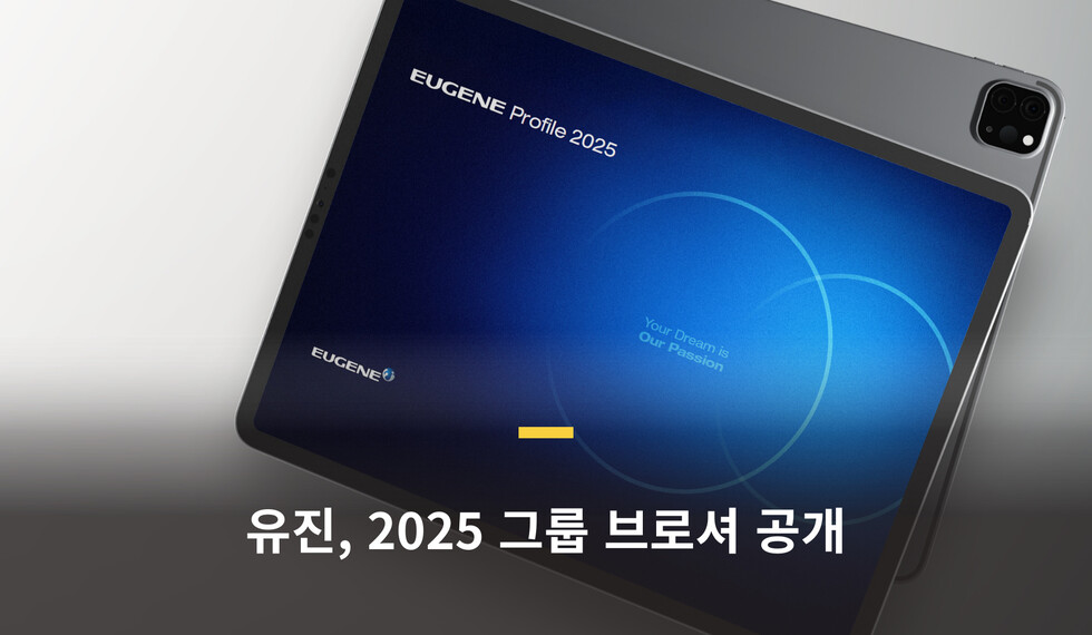 토토 카지노